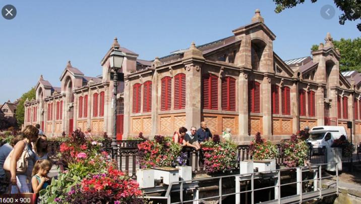 Ferienwohnung belle lauch Colmar Exterior foto